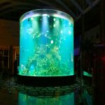 Kina Custom Billige super store runde pmma glass akvarier klare sylinder akryl fisketanker