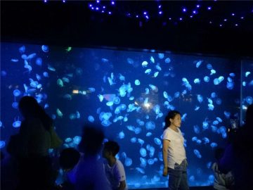 2018 akryl maneter akvarium tank glass