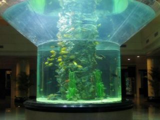 pmma glass akvarium halvcylinder perspex klar fisketank
