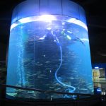 klar akryl sylinder stor fisketank for akvarier eller hav park