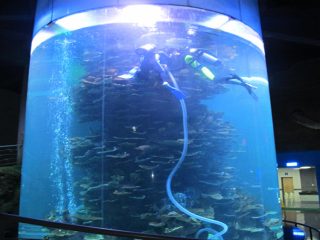 klar akryl sylinder stor fisketank for akvarier eller hav park
