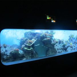 Kunstig Cast Akryl Cylindrisk Transparent fisk akvarium / utsikt vindu