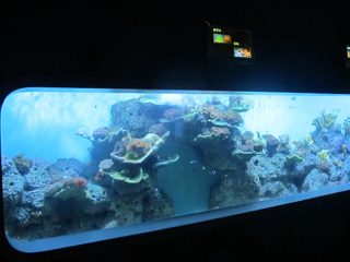 Kunstig Cast Akryl Cylindrisk Transparent fisk akvarium / utsikt vindu