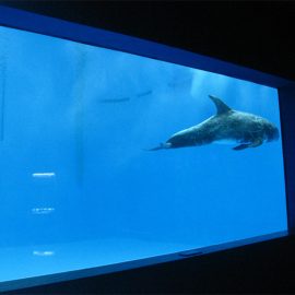 høy kvalitet Stort akryl akvarium / bassengvindu undervanns tykt vinduer ark