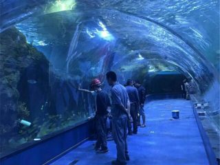 Akryl tunnel oceanarium prosjekt i offentlige akvarier