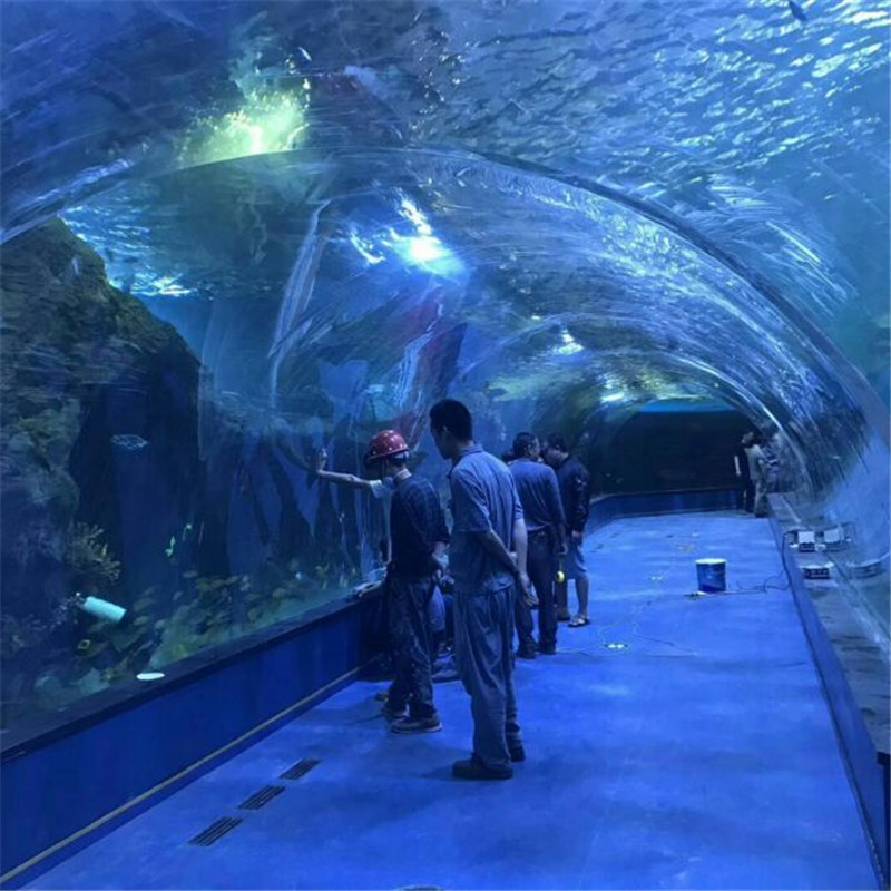 Akryl tunnel oceanarium prosjekt i offentlige akvarier
