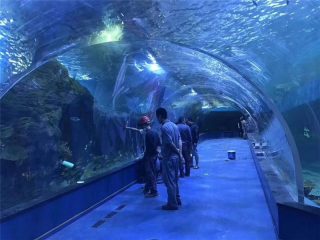 Egendefinert plexiglass akryl tunnel akvarium