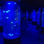 akryl maneter akvarium tank glass