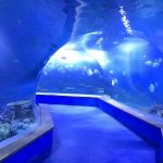 gjennomsiktig akryl glass Tunnel akvarium